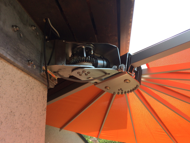 belalatus® ten веер Radius