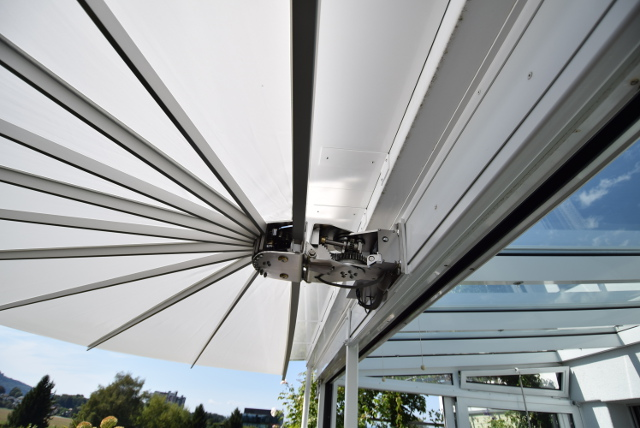 belalatus® ten веер Radius