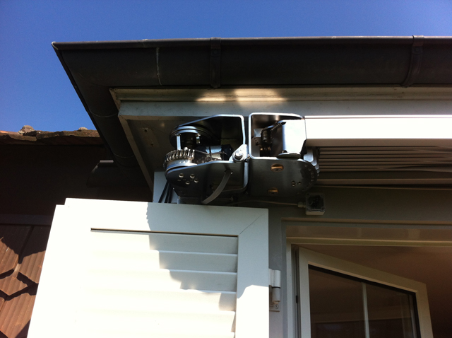 belalatus® ten веер Radius