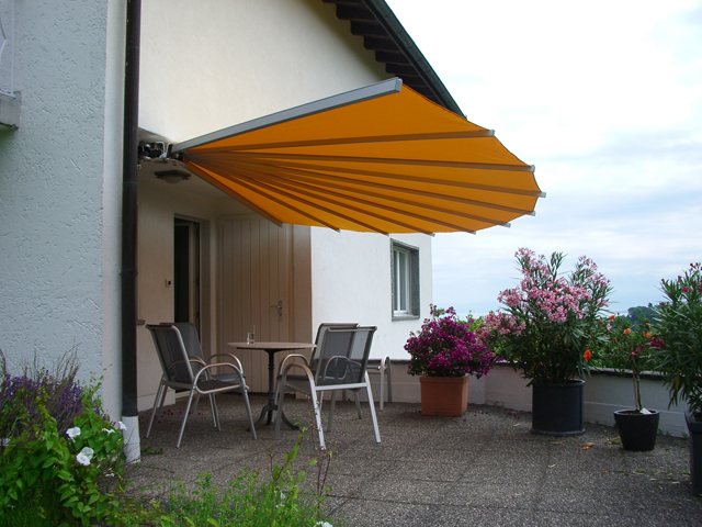 belalatus® ten веер Radius