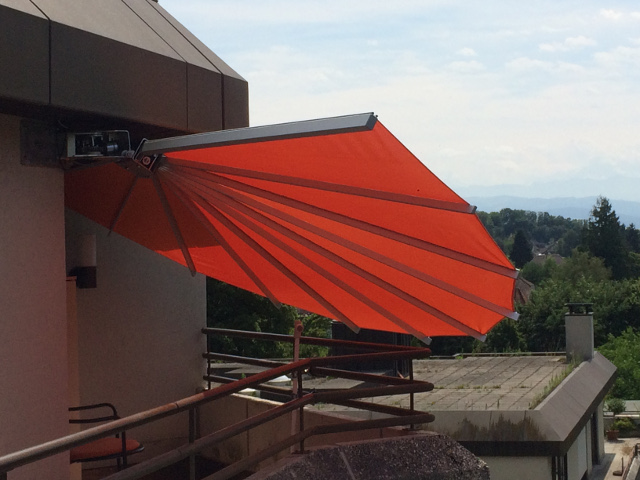 belalatus® ten веер Radius