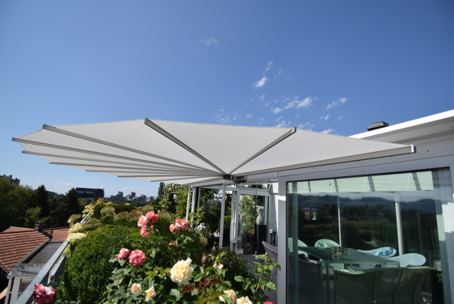 belalatus® ten веер Radius