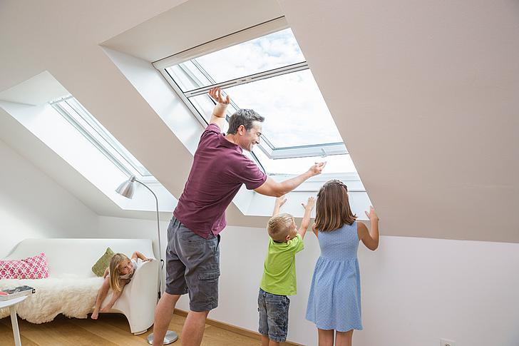 Рамка от насекомых для мансард