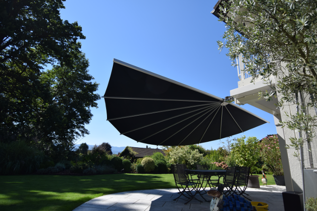 belalatus® ten веер Radius