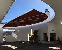 belalatus® ten веер Radius