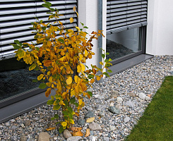 Рафшторы Roma INTEGO.RS