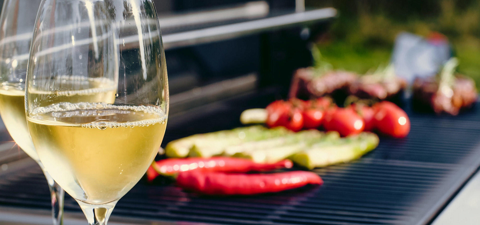 Садовый гриль Block D