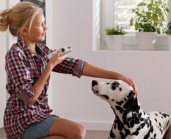 Управление рфшторами