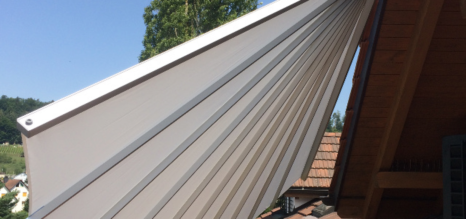 belalatus® ten веер Radius